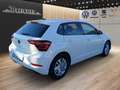 Volkswagen Polo VI 1.0 TSI ''Style''  abn. AHK+Rückfahrkamera Weiß - thumbnail 3