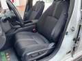 Honda Civic 1.5T 5 porte Sport+ TETTO||SOSPENSION|UNIPROP Blanc - thumbnail 9