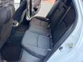 Honda Civic 1.5T 5 porte Sport+ TETTO||SOSPENSION|UNIPROP Blanc - thumbnail 14