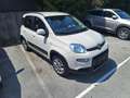 Fiat Panda 4x4 1,3 Multijet II 95 4x4 Rock Beige - thumbnail 2