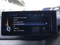 BMW i3 94 HK HiFi DAB LED GSD RFK Navi Prof. Shz Azul - thumbnail 21