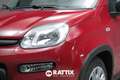 Fiat Panda 1.0 Firefly Hybrid 70CV 5p.ti ADAS + Pack City Rosso - thumbnail 3