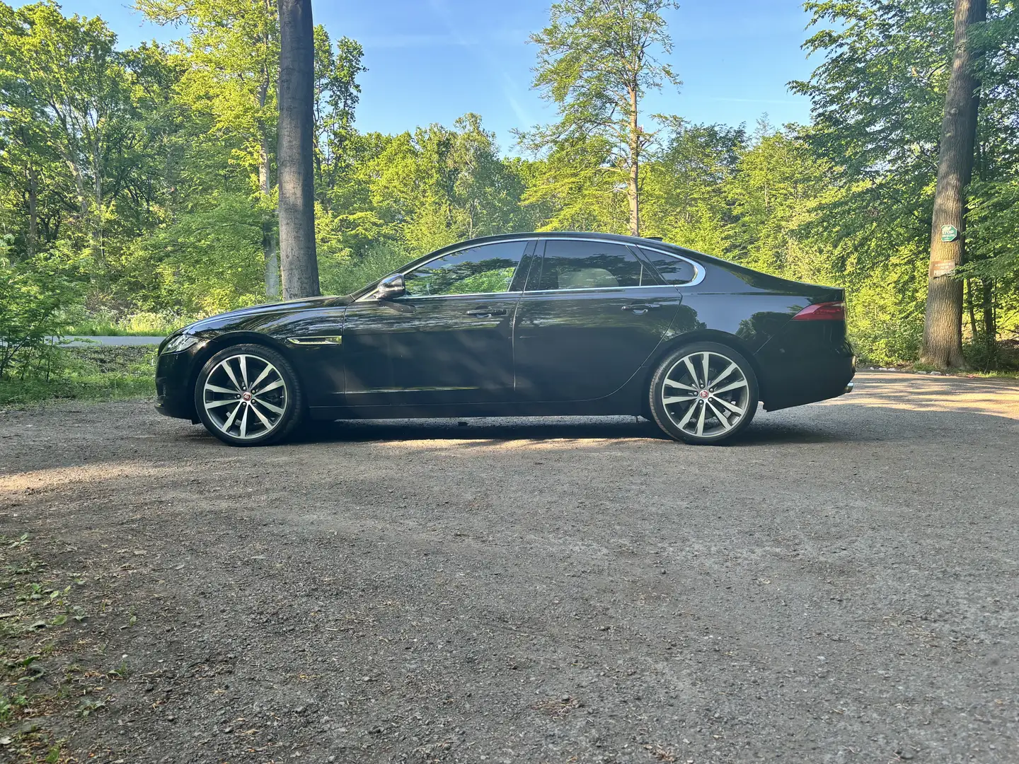Jaguar XF XF V6 3.0 - 340 ch BVA Portfolio - 2