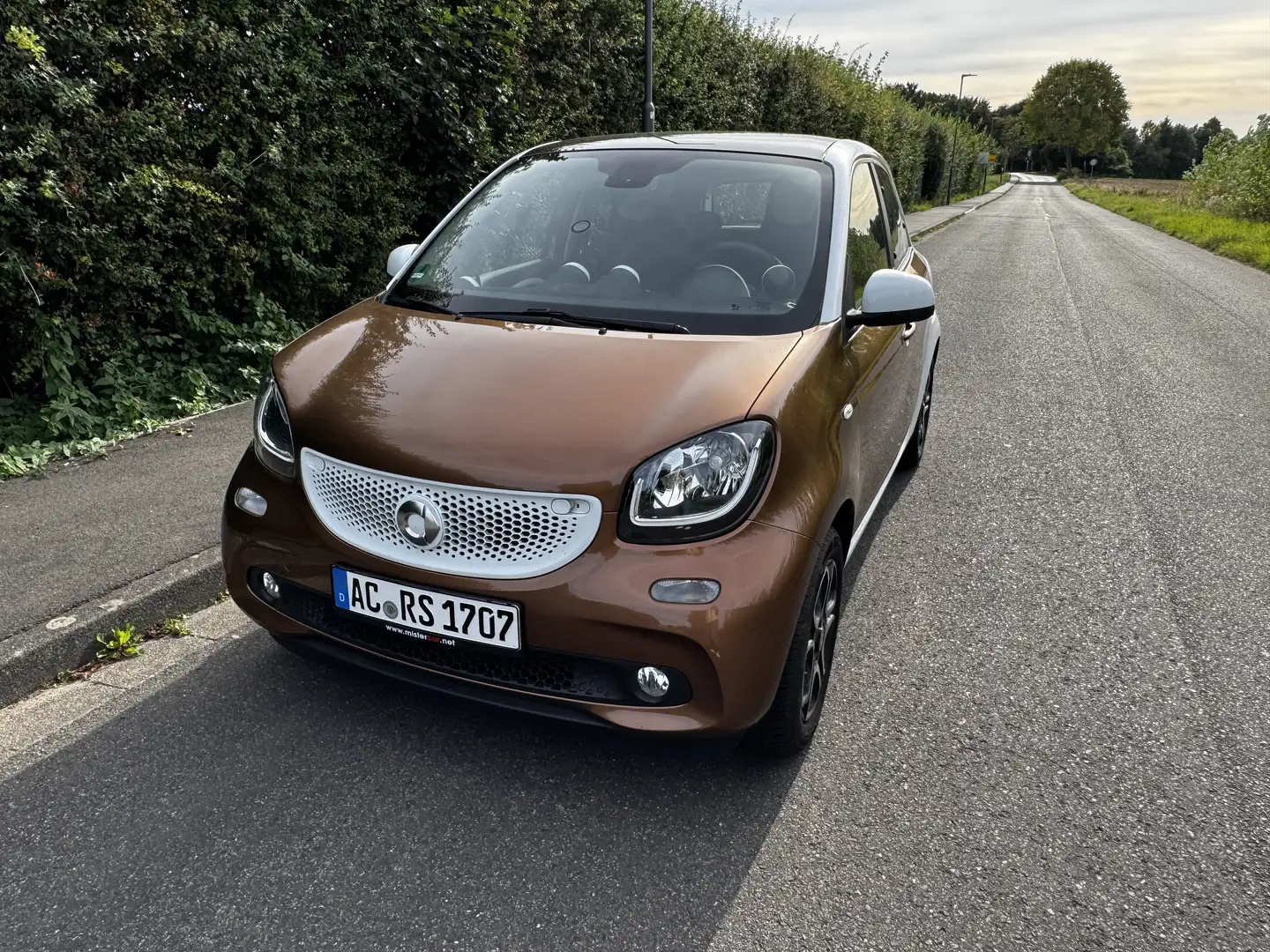 smart forFour Braun - 1