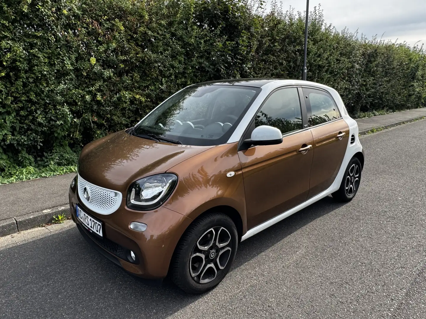 smart forFour Braun - 2