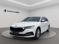 Skoda Octavia Combi 2,0 TDI DSG Style AHK HEADUP ACC MEMORY K... Weiß - thumbnail 1