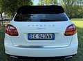 Porsche Cayenne Cayenne 3.0 V6 Tdi- NON E COME LE ALTRE Bianco - thumbnail 3
