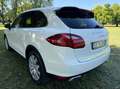 Porsche Cayenne Cayenne 3.0 V6 Tdi- NON E COME LE ALTRE Bianco - thumbnail 6