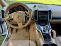 Porsche Cayenne Cayenne 3.0 V6 Tdi- NON E COME LE ALTRE Bianco - thumbnail 12