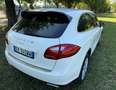 Porsche Cayenne Cayenne 3.0 V6 Tdi- NON E COME LE ALTRE Bianco - thumbnail 5