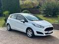 Ford Fiesta Fiesta 5p PLUS 1.2 BENZINA 60cv EURO6 NEOPATENTATI Blanc - thumbnail 6