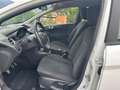 Ford Fiesta Fiesta 5p PLUS 1.2 BENZINA 60cv EURO6 NEOPATENTATI Blanc - thumbnail 14
