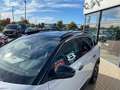 Citroen C5 Aircross C5 Aircross Diesel 130 Automatik MAX *Allwetter* Weiß - thumbnail 13