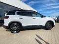Citroen C5 Aircross C5 Aircross Diesel 130 Automatik MAX *Allwetter* Weiß - thumbnail 5