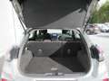 Ford Puma 1.0 Titanium / Navi / PDC / € 10.330 netto Gris - thumbnail 13