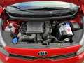 Kia Picanto 1.0 Dream Team Edition - thumbnail 9