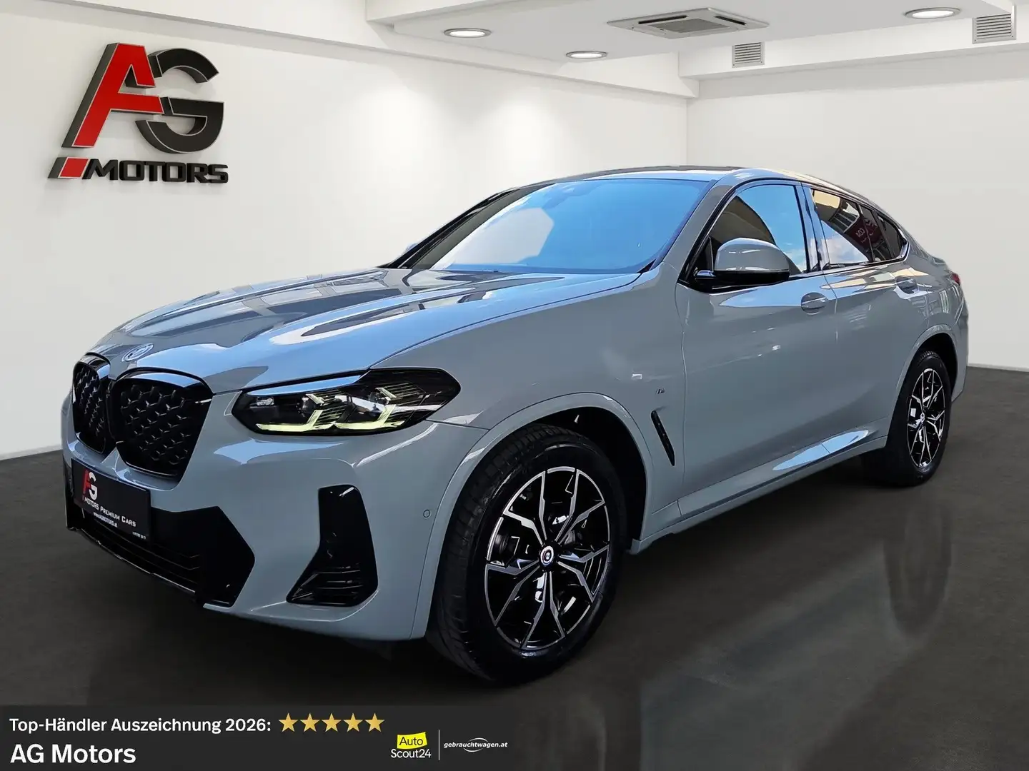 BMW X4 xDrive20i Aut. M-Paket /LED/Kamera/Leder/1.Besitz Grau - 1