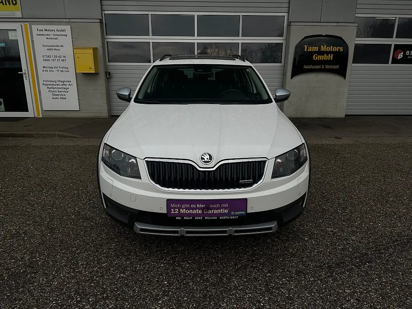 Skoda Octavia Combi 2,0 TDI 4x4 Scout DSG Weiß - 2