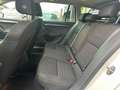 Skoda Octavia Combi 2,0 TDI 4x4 Scout DSG Weiß - thumbnail 13