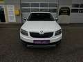 Skoda Octavia Combi 2,0 TDI 4x4 Scout DSG Weiß - thumbnail 2