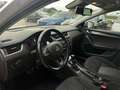 Skoda Octavia Combi 2,0 TDI 4x4 Scout DSG Weiß - thumbnail 10