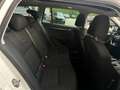 Skoda Octavia Combi 2,0 TDI 4x4 Scout DSG Weiß - thumbnail 15