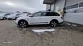 Skoda Octavia Combi 2,0 TDI 4x4 Scout DSG Weiß - thumbnail 4