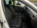 Skoda Octavia Combi 2,0 TDI 4x4 Scout DSG Weiß - thumbnail 17