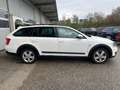 Skoda Octavia Combi 2,0 TDI 4x4 Scout DSG Weiß - thumbnail 4