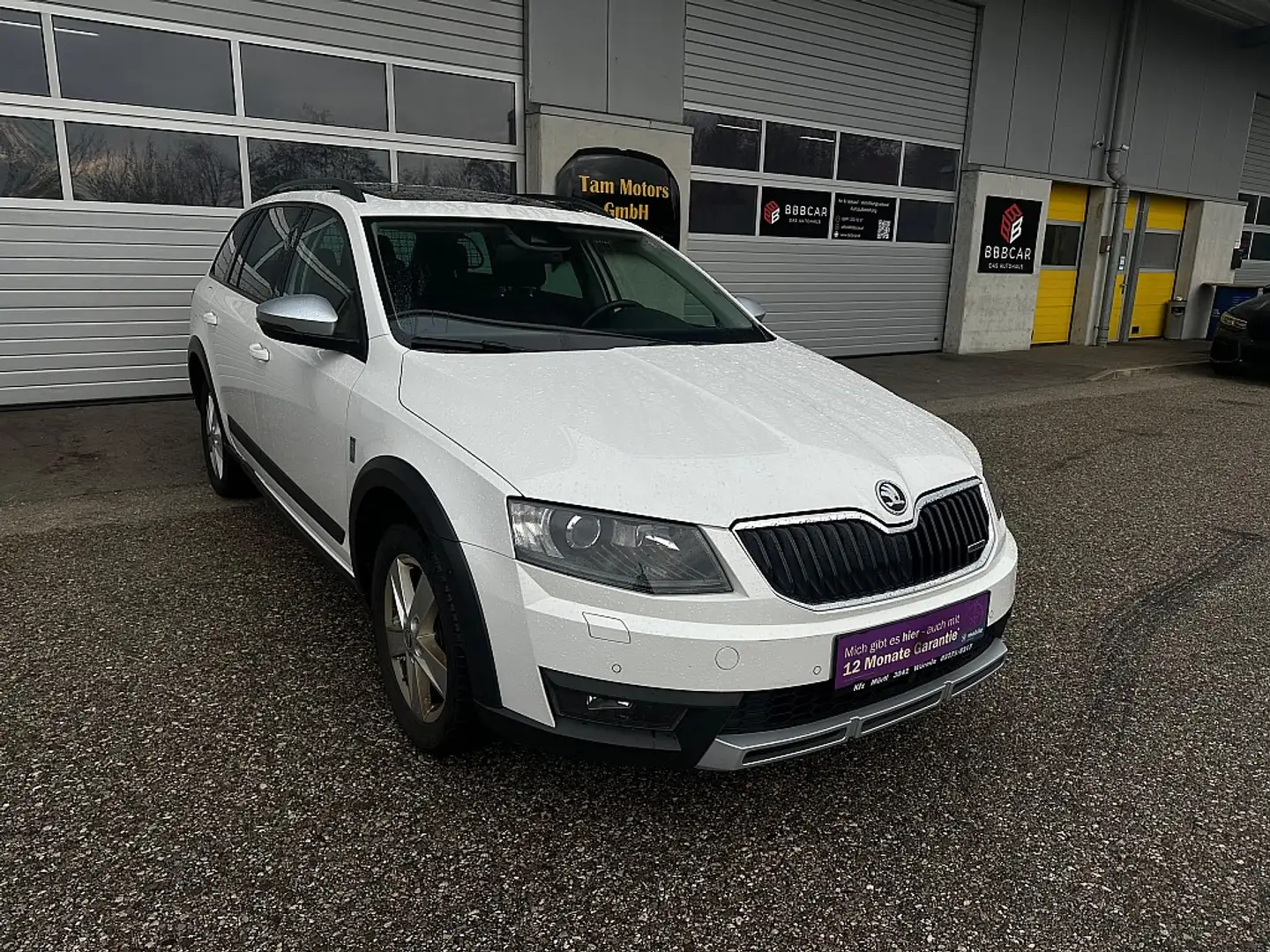 Skoda Octavia Combi 2,0 TDI 4x4 Scout DSG Weiß - 1