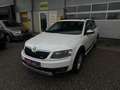 Skoda Octavia Combi 2,0 TDI 4x4 Scout DSG Weiß - thumbnail 3