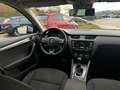 Skoda Octavia Combi 2,0 TDI 4x4 Scout DSG Weiß - thumbnail 20