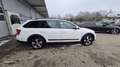 Skoda Octavia Combi 2,0 TDI 4x4 Scout DSG Weiß - thumbnail 7