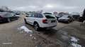 Skoda Octavia Combi 2,0 TDI 4x4 Scout DSG Weiß - thumbnail 5