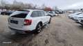 Skoda Octavia Combi 2,0 TDI 4x4 Scout DSG Weiß - thumbnail 6