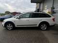 Skoda Octavia Combi 2,0 TDI 4x4 Scout DSG Weiß - thumbnail 5