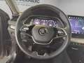 Skoda Octavia Combi 2.0 TDI DSG Selection Facelift Grau - thumbnail 12