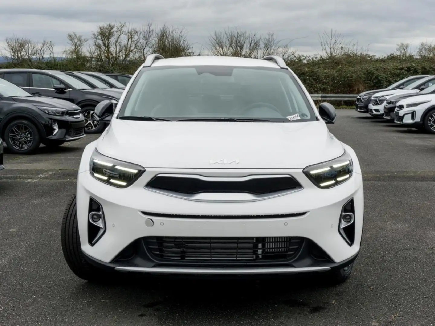 Kia Stonic 1.0T DCT Nightline Kamera Fehér - 2