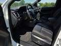 Ford Ranger Doppelkabine Wildtrak 4x4 2,0 EcoBlue Aut. - thumbnail 11