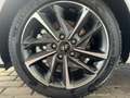 Hyundai i30 1.5 T-GDI Mild-Hybrid Trend +KAM+Tempomat+ Bianco - thumbnail 11