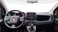 Fiat New Panda Panda 1.0 firefly hybrid City Cross s&s 70cv Nero - thumbnail 9