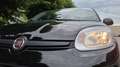 Fiat New Panda Panda 1.0 firefly hybrid City Cross s&s 70cv Nero - thumbnail 6