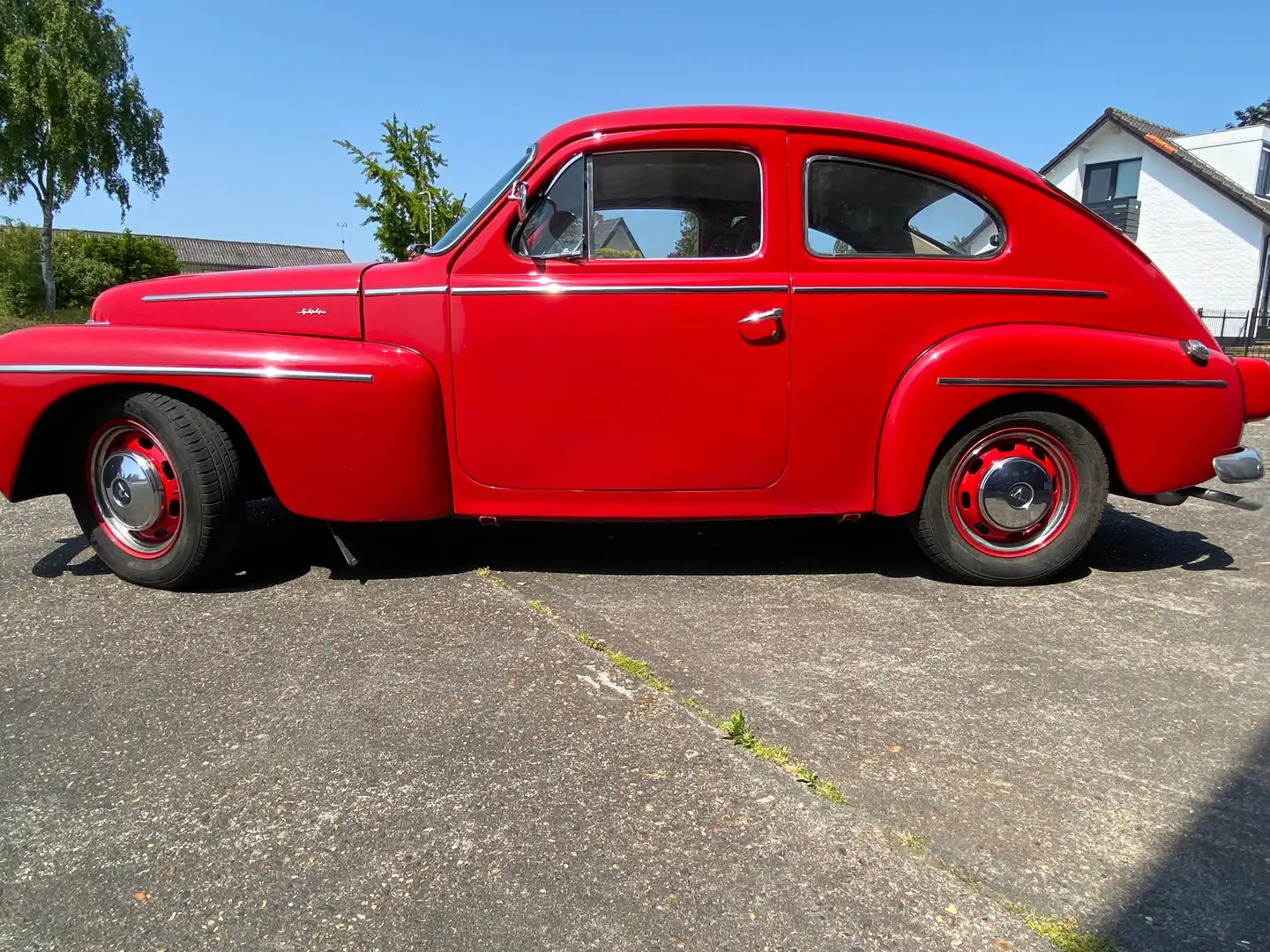 Volvo PV544 PV544 undefined Rot - 2