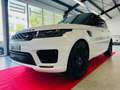 Land Rover Range Rover Sport HSE Dynamic -22" LM -Facelift Blanc - thumbnail 2