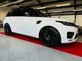 Land Rover Range Rover Sport HSE Dynamic -22" LM -Facelift Blanc - thumbnail 16