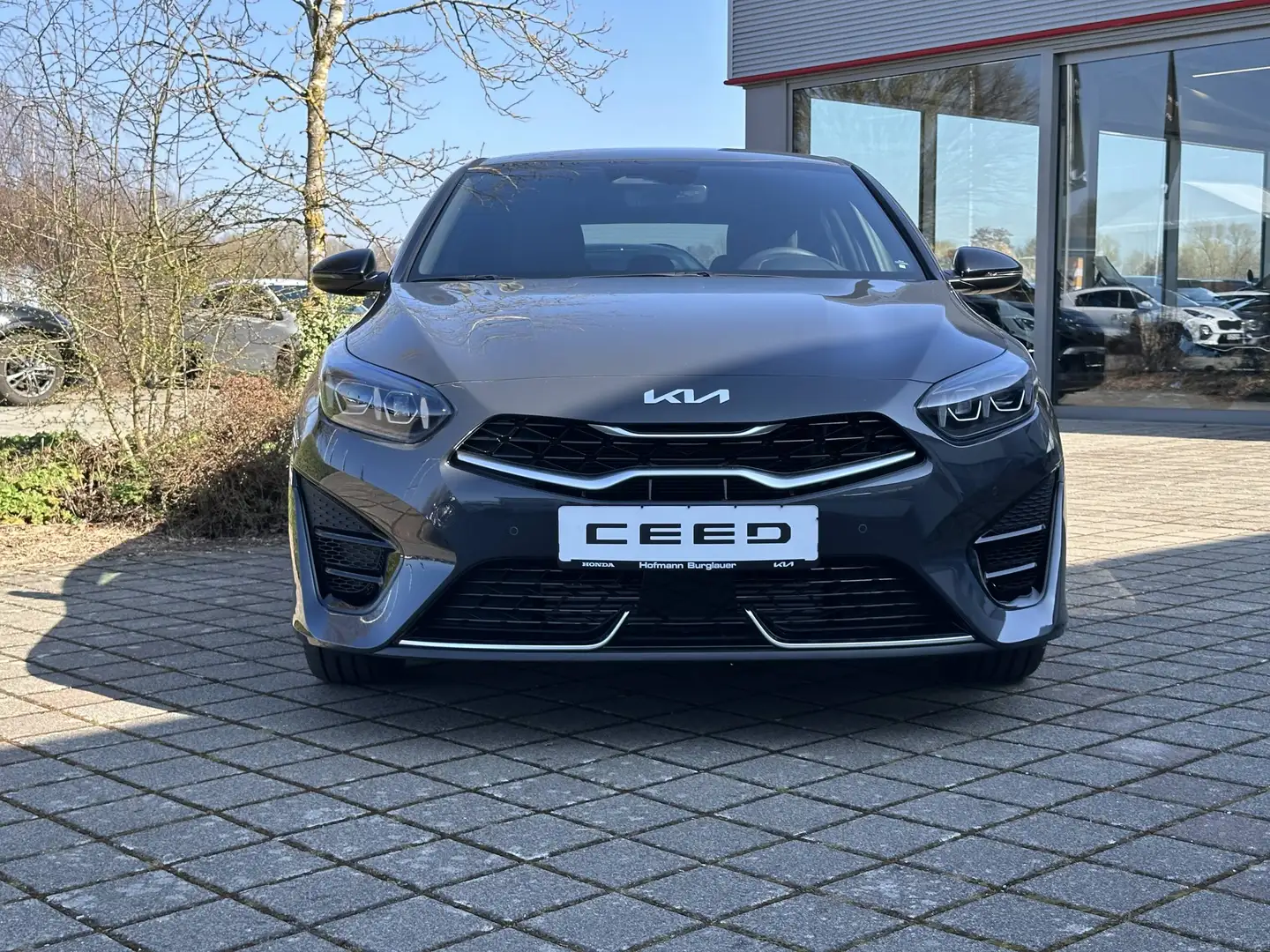 Kia Ceed / cee'd GT-Line mit Tech-Paket Grau - 2