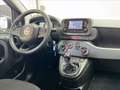 Fiat Panda 1.0 firefly hybrid s&s 70cv 5p.ti Negro - thumbnail 10
