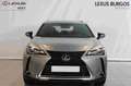 Lexus UX 300e Business Navigation 2WD Grey - thumbnail 2