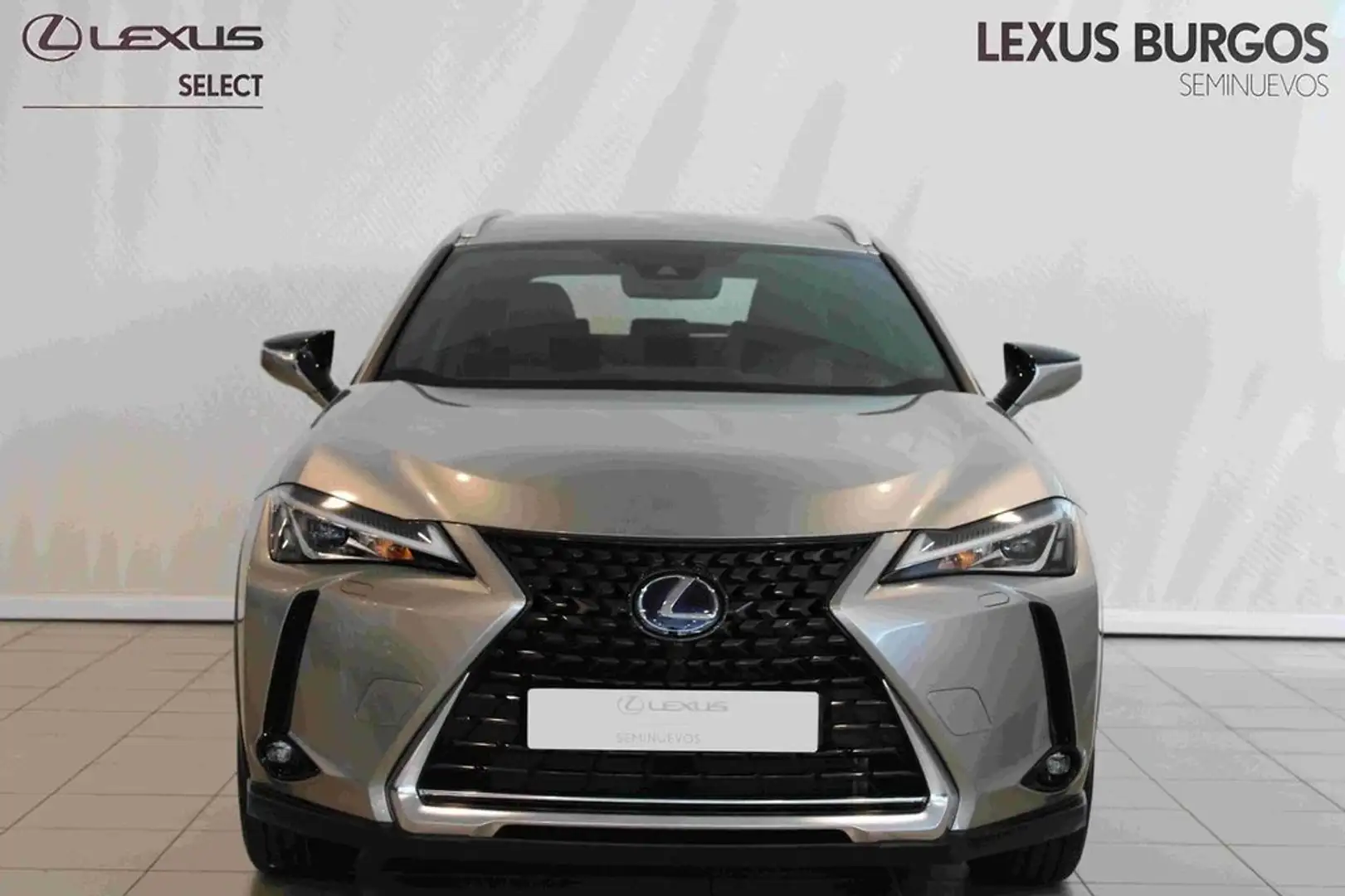 Lexus UX 300e Business Navigation 2WD Grey - 2