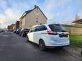 Ford C-Max C-MAX Grand 1.6 Eco Boost Trend Weiß - thumbnail 3